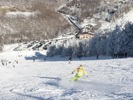 スキー スノボ 菅平 パインビーク